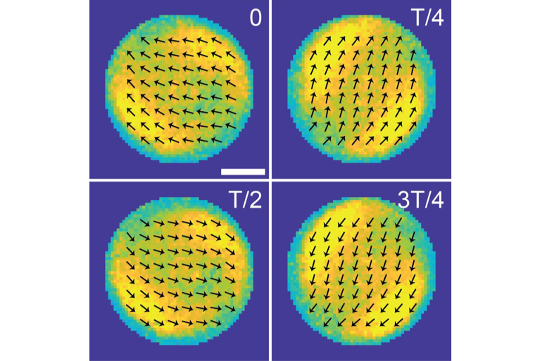 Oscillatory translation mode