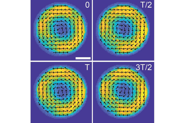 Oscillatory rotation mode